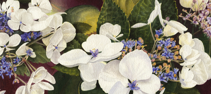 Watercolors Floral